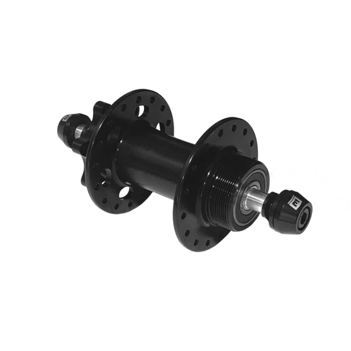 Buje Trasero Disc Entry